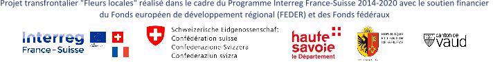 Barre interreg ligne