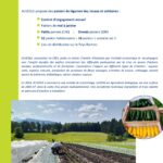 Paniers de légumes bio